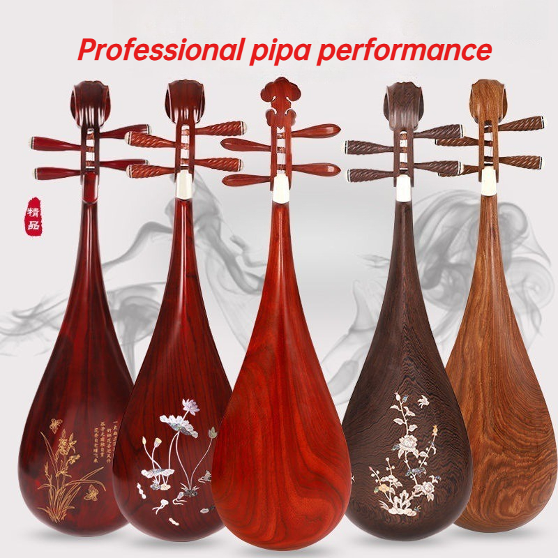 성인 어린이 전문 Pipa 손으로 만들어진 로즈 우드  - Musical Instrument Harmonium 리뷰 및 가격
